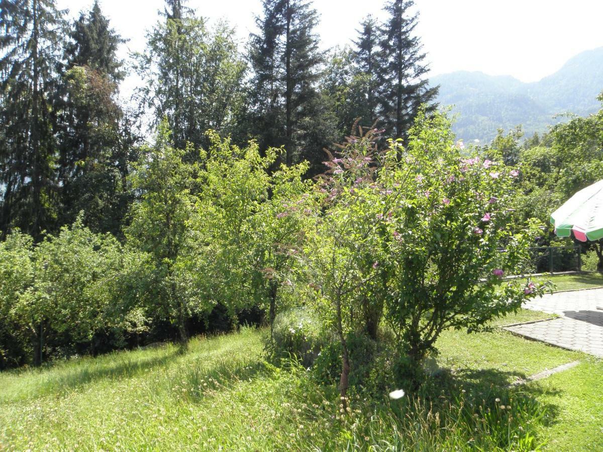 Ferienhaus-Loidl Bad Ischl Εξωτερικό φωτογραφία